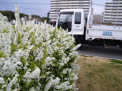 R0017716.JPG