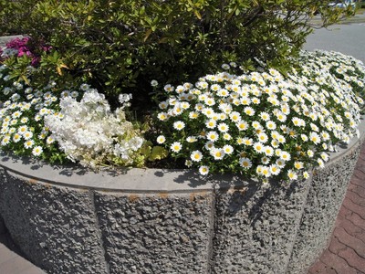 20190413B.jpg