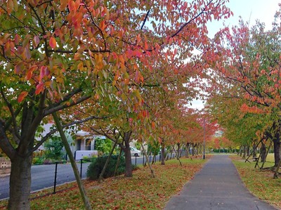 DSC_9708.JPG