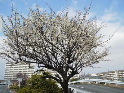 R0018152.JPG