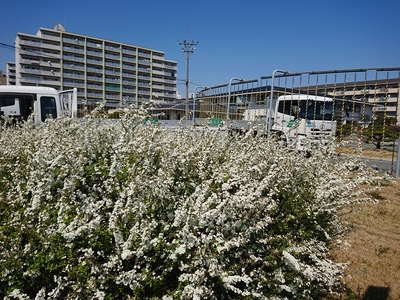 DSC_0082.JPG