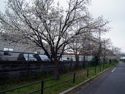 R0018159.JPG