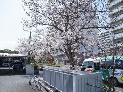 R0018165.jpg