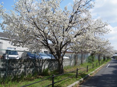 R0018171.JPG