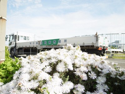 R0018859.jpg