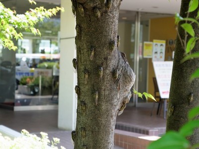 R0018907.jpg