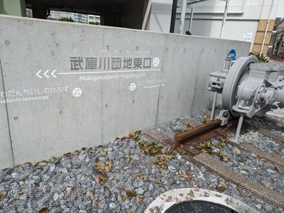 PXL_20240227_032512558.jpg