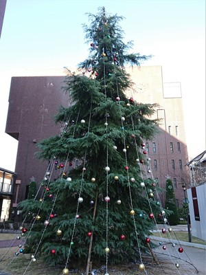 04.jpg