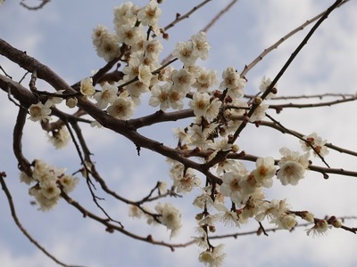 20150305A.jpg