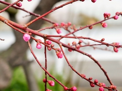 20150314D.jpg