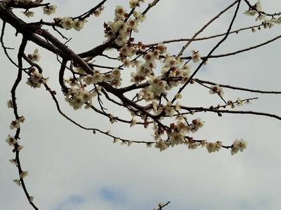 20150314E.jpg