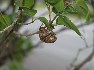 20150711E.jpg