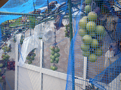 20150926A.jpg