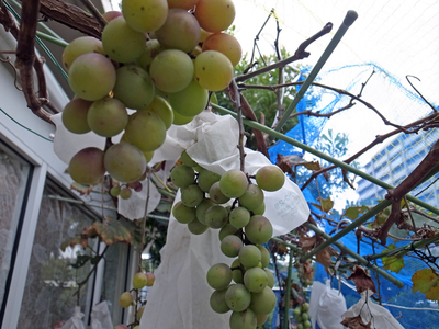 20150926B.jpg
