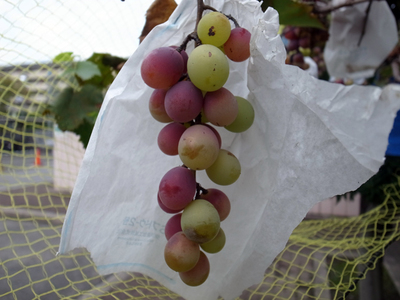 20150926C.jpg