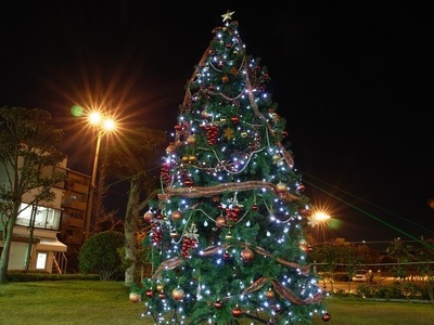 20151203D.jpg
