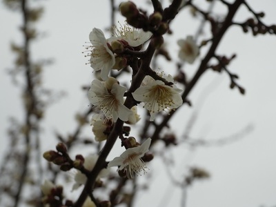 20160213A.jpg