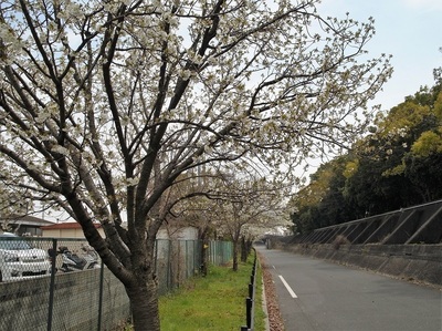20160331A.JPG