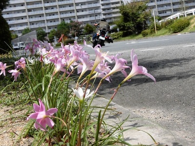 20160903D.jpg
