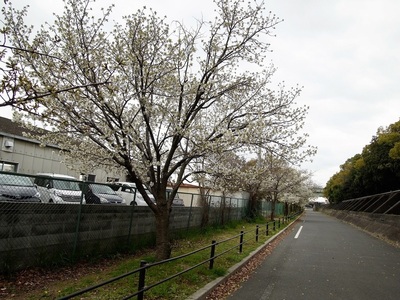 20170406C.jpg