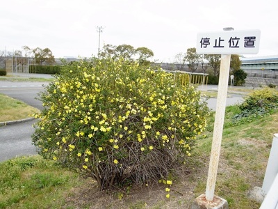 20170406E.jpg