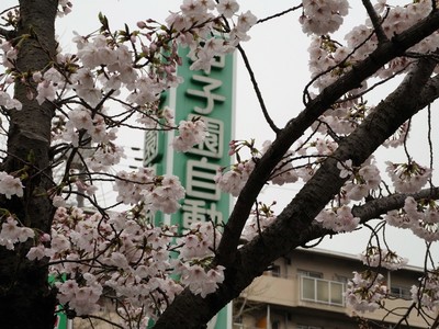 20170408A.jpg