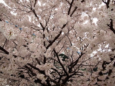 20170408B.jpg
