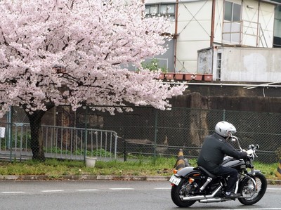 20170408E.jpg