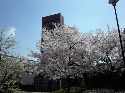 20170413B.jpg