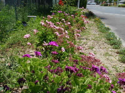 20170610A.JPG
