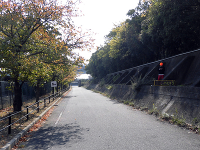20171105A.jpg