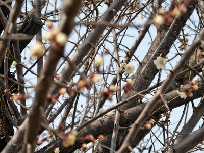 20180224A.jpg