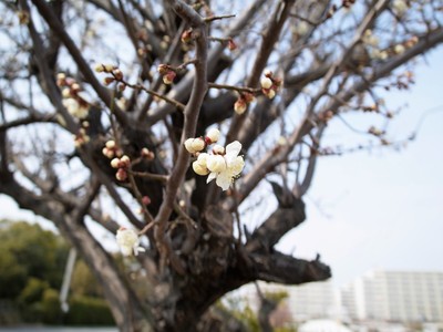 20180224B.jpg
