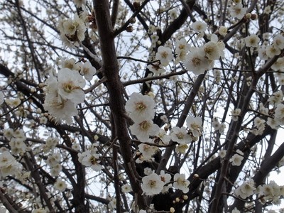 20180301B.jpg