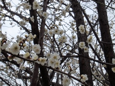 20180301C.jpg