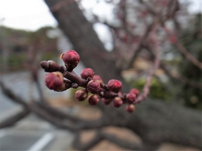 20180301E.jpg
