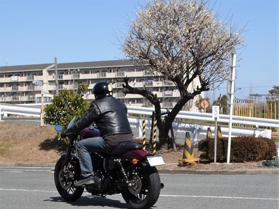 20180310D.jpg