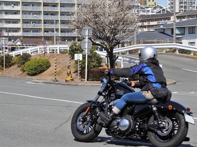 20180310E.jpg