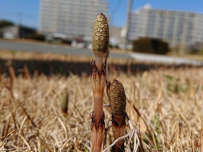 20180310G.jpg