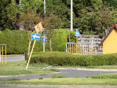 20180905A.jpg