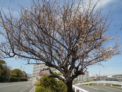 20190309A.jpg