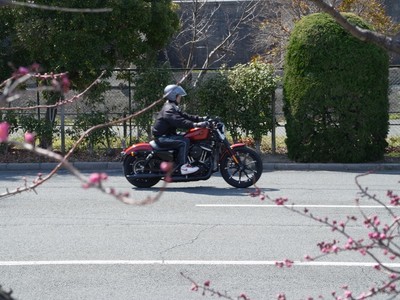 20190309E.jpg