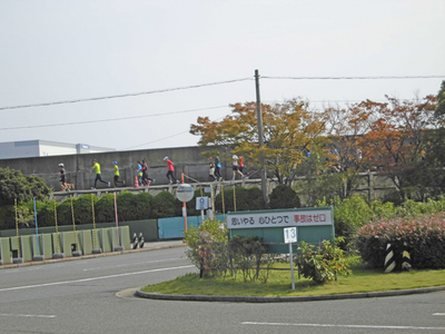 CIMG0094.jpg
