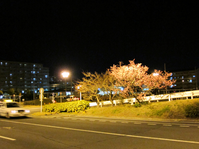 IMG_0006.jpg