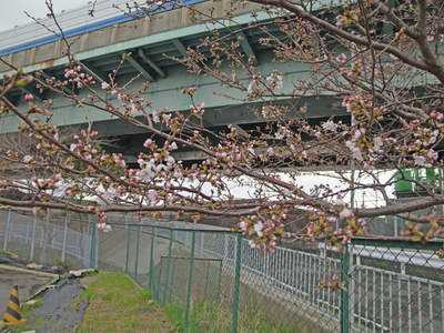 R0011846.jpg
