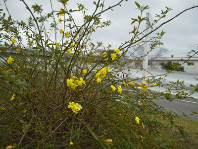 R0011854.jpg
